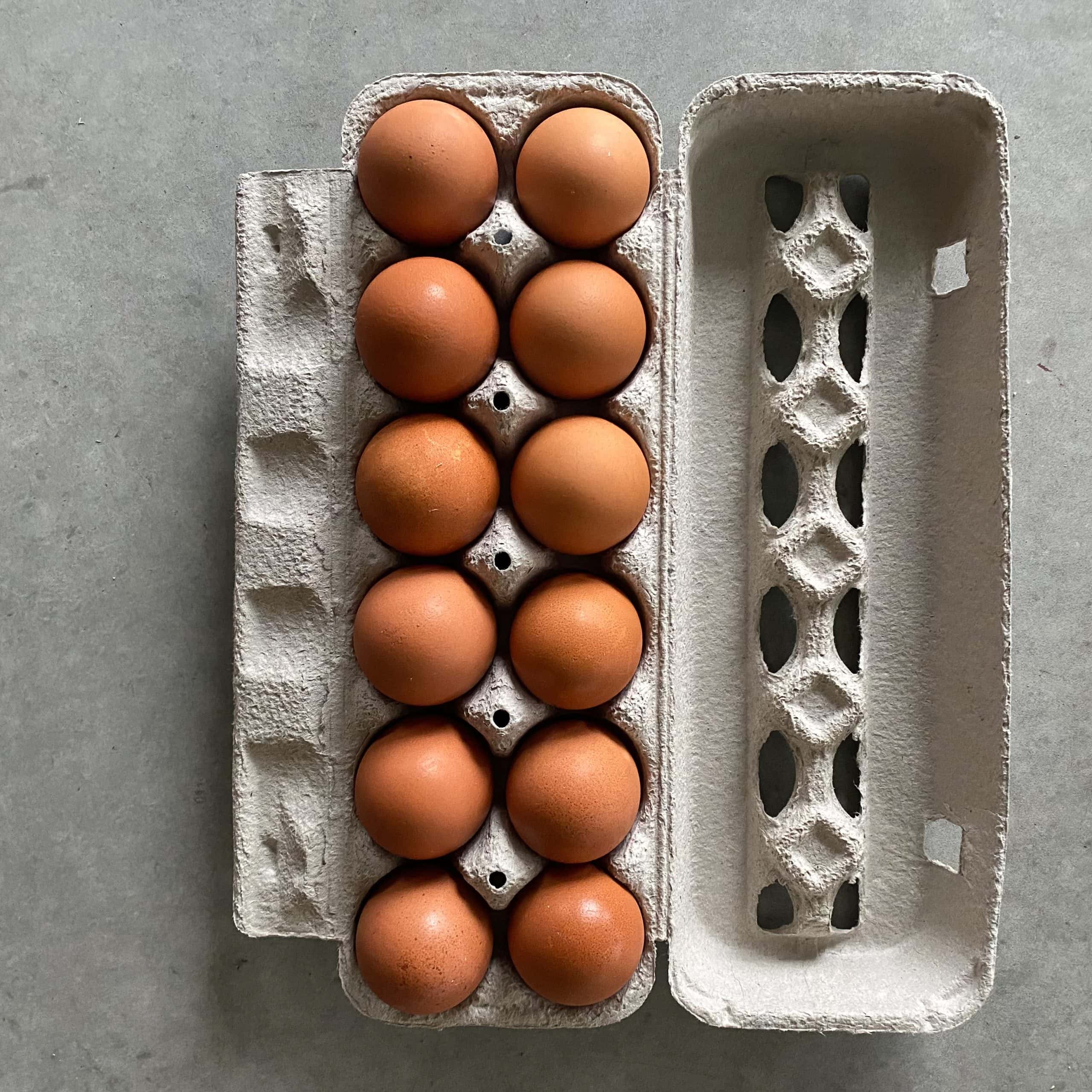 Large Brown Egg Subscription